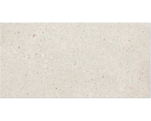 Wandfliese mit Terrazzo Optik in rechteckigem Format