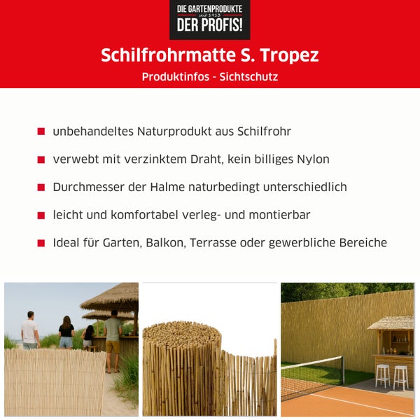 Schilfrohrmatte ST. TROPEZ - Naturprodukt - In- und Outdoor Sichtschutz - 100x600 cm - Blickschutz und Dekorationselement in Einem