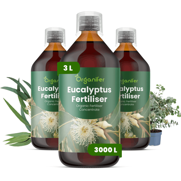 Drei Flaschen Organifer Eukalyptus Dünger, biologisches Konzentrat, 3 Liter für 3000 Liter Düngemittel.