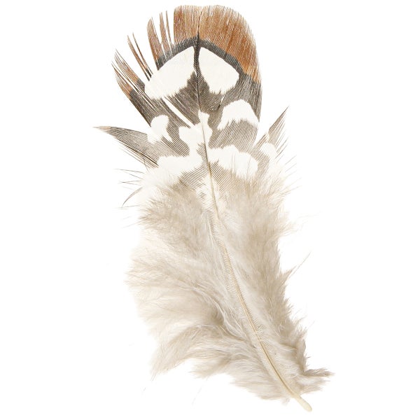 Feder mit gemustertem Design