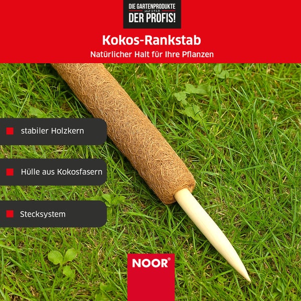Kokos-Rankstab - Ø 7 cm x 180 cm - verlängerbare Rankhilfe mit Holzstiel - 100 % Naturmaterial - stabile Kletterhilfe für Pflanzen, dekorativ & nachhaltig