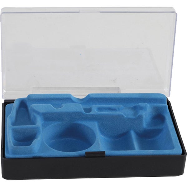 Blühende Polster-Verbene im Gartenbeet.