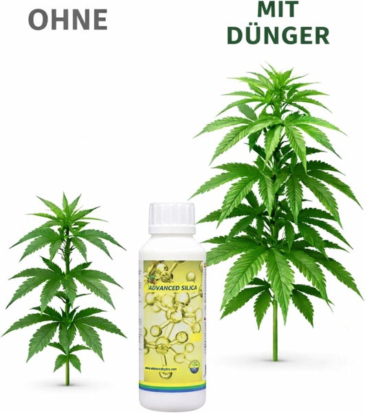 Vergleich von Pflanzenwachstum ohne Dünger und mit Advanced Silica Dünger.