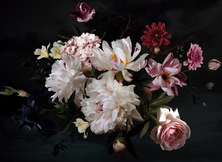 Stillleben eines Blumenbouquets mit rosa und weißen Pfingstrosen, Rosen, Hortensien und einer dunkelvioletten Iris in dramatischer Beleuchtung.