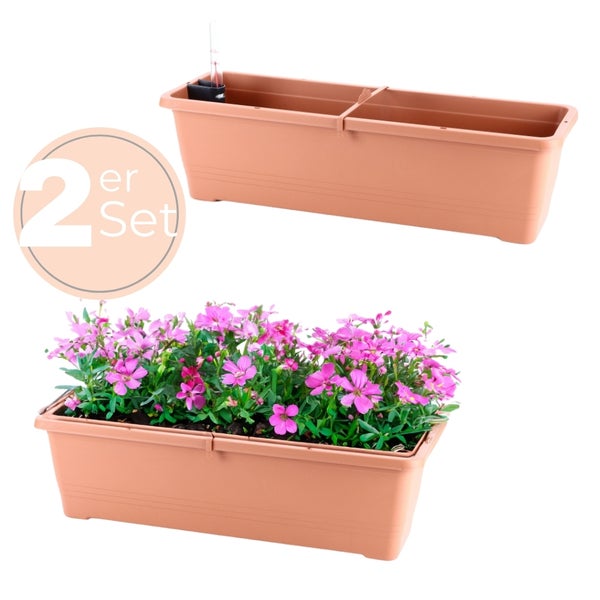 Zwei Pflanzkästen aus Kunststoff, einer mit rosa Blumen bepflanzt