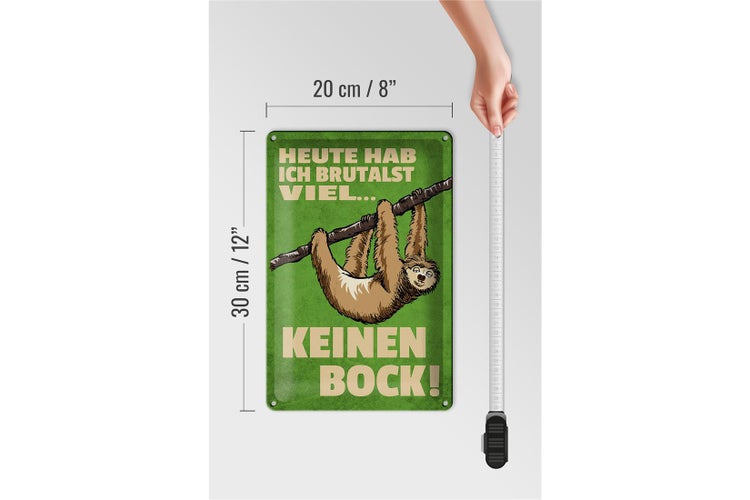 Blechschild Spruch 20x30cm heute habe ich brutalst viel