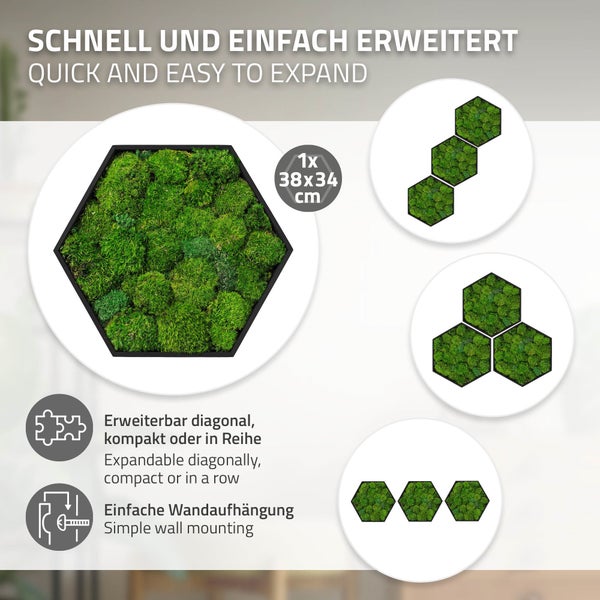 Modulares sechseckiges Moosbild zur Wandmontage, Maße 38 mal 34 Zentimeter, beliebig erweiterbar für verschiedene Wandgestaltungen.