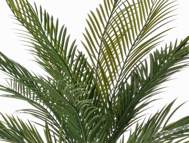Detailaufnahme eines Palmenstamms mit abgehenden grünen Wedeln einer künstlichen Palme.