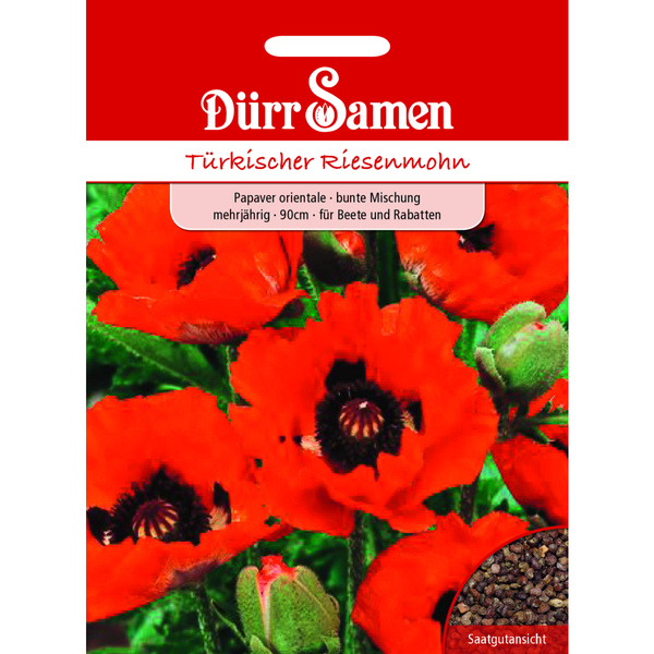 Türkischer Riesenmohn mehrjährig Saatgut von Dürr Samen