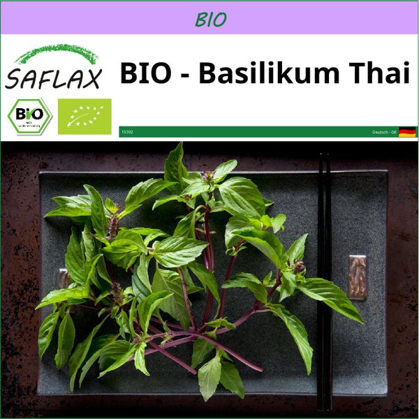 SAFLAX  - BIO - Basilikum Thai - Ocimum basilicum - 250 Samen