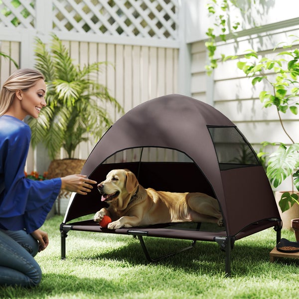 Hund liegt entspannt in einem braunen Hundebett mit Zeltfunktion im Garten, während eine Frau ihn ansieht.