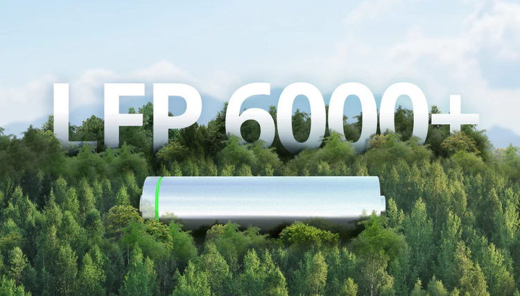 LFP 6000+ Batterie vor Baumlandschaft
