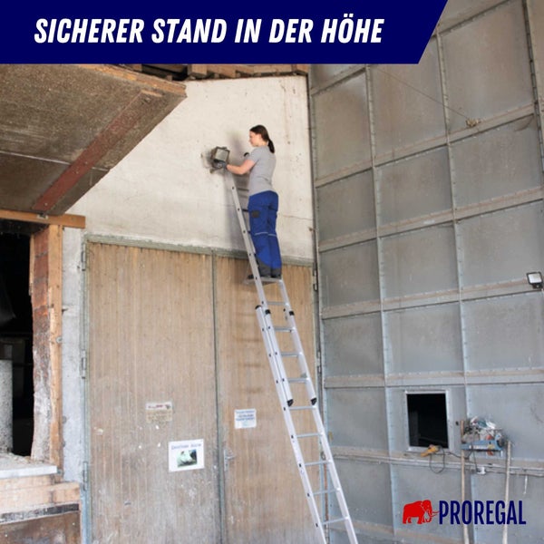 PROREGAL Sprossen-Schiebeleiter 2-Teilig Ohne Traverse 2 x 12 Sprossen