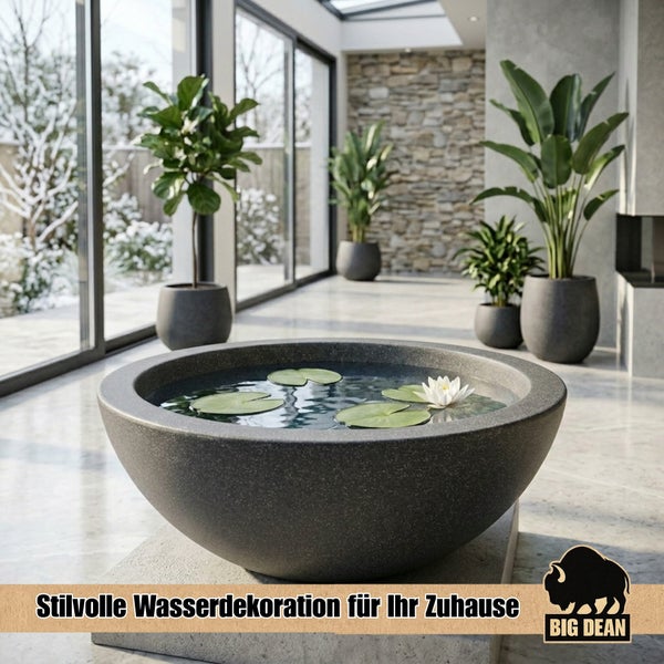 Runde Wasserschale in Steinoptik mit Seerosen und Wasserlilie in einem modernen Innenraum mit Pflanzen und großen Glasfronten. Big Dean Logo.