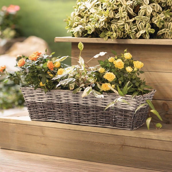 Rechteckiger Blumenkasten aus grauem Korbgeflecht mit gelben und orangefarbenen Mini-Rosen auf einer Holztreppe.