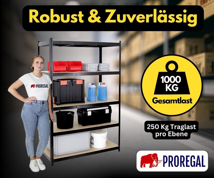 Proregal Schwerlastregal mit fünf Ebenen, Gesamttraglast 1000 Kilogramm, Traglast pro Ebene 250 Kilogramm, beladen mit Werkzeugkoffern und Boxen.