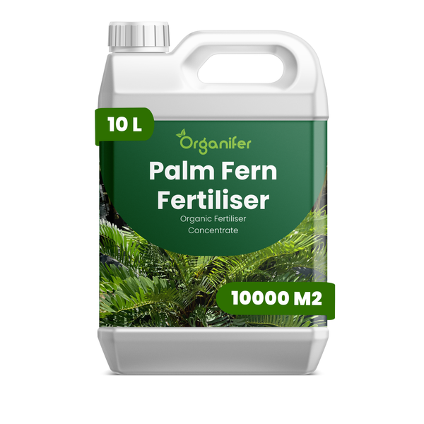 Organischer Palmen- und Farndünger-Konzentrat von Organifer, 10 Liter Kanister für circa 10.000 Quadratmeter.