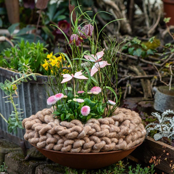 Frühlingshafte Pflanzschale mit Gänseblümchen, Schachbrettblumen und Schmetterlingssteckern in einer Schale mit grob gestricktem Filzkranz.