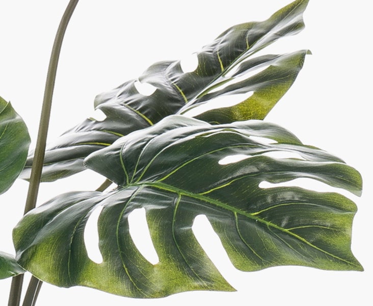 Künstliche Monstera-Pflanze mit detailgetreuen grünen geschlitzten Blättern aus Kunststoff.