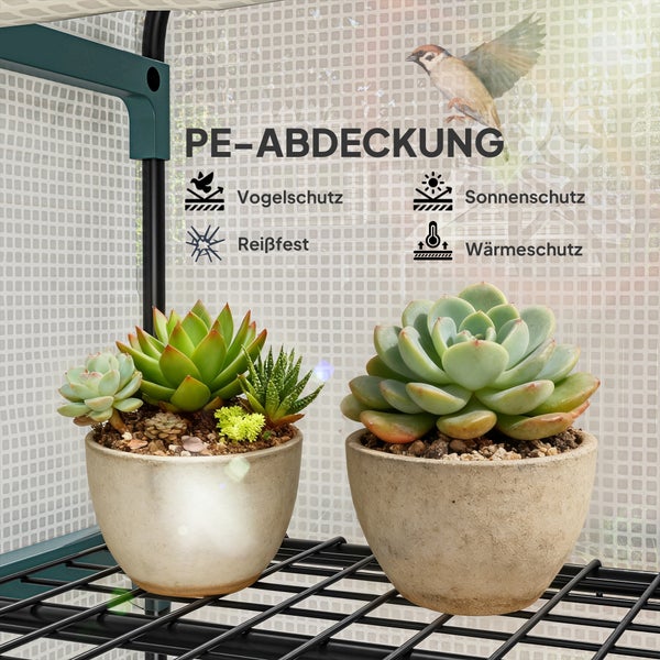 Polyethylen-Abdeckung für Pflanzen mit Vogelschutz, Sonnenschutz, Reißfestigkeit und Wärmeschutz. Zwei Sukkulenten in Töpfen auf einem Regal.