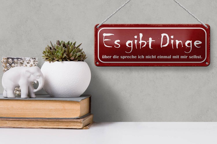 Blechschild Spruch 27x10cm es gibt Dinge über die spreche Dekoration