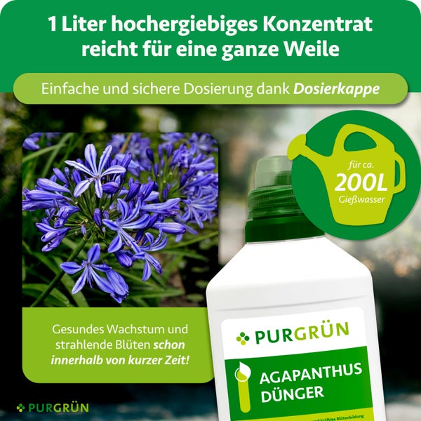 BGS Technic Felgenschloss Einsatz Satz in Schaumstoffeinlage, zehn Metallteile A bis J, blaues Element, BGS Technic Logo.