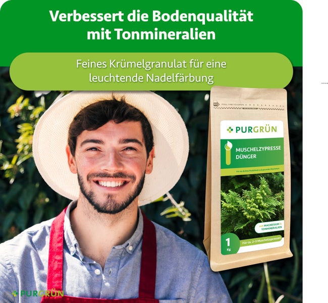 Ein glücklicher Gärtner neben einer Packung Purgrün Muschelzypresse Dünger mit Tonmineralien und Magnesium für gesundes Nadelwachstum.