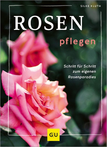 Rosen pflegen Schritt für Schritt zum Rosenparadies