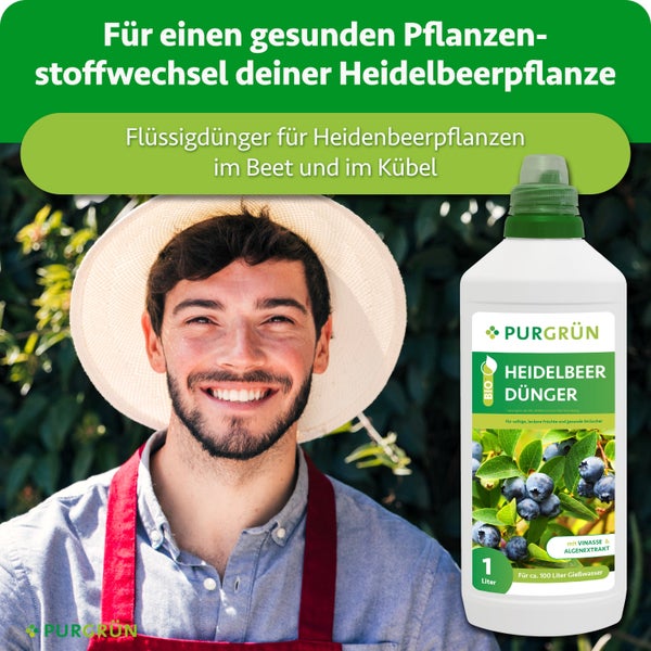 Purgrün Heidelbeer Dünger Flüssigdünger für Heidelbeeren im Beet und Kübel mit Vinasse und Algenextrakt in der 1 Liter Flasche.