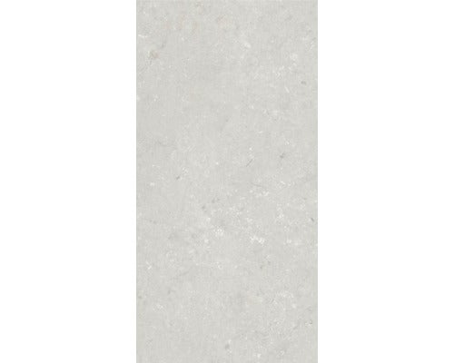 Wand- und Bodenfliese Shellstone bianco 60x120cm