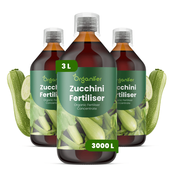 Drei Flaschen Organifer Zucchini-Dünger, organisches Konzentrat, je 3 Liter, reicht für 3000 Liter, mit Zucchini-Abbildungen.