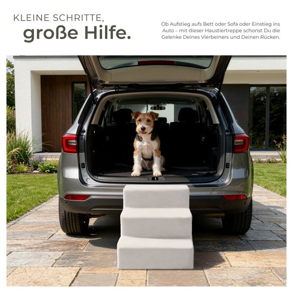 Hund sitzt im Kofferraum eines Autos mit einer Haustiertreppe davor