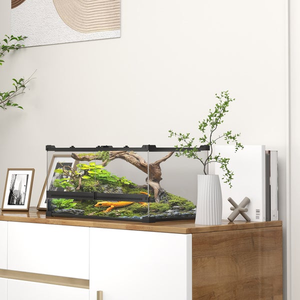 Terrarium mit Einrichtung und Tier auf einem Schrank