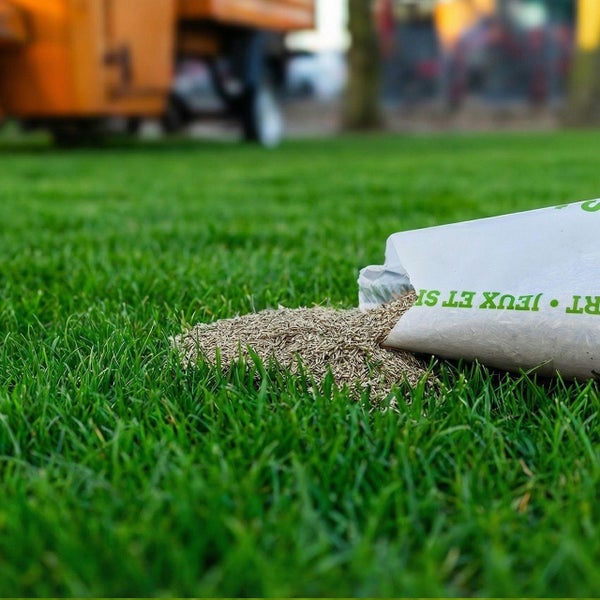 Aufnahme von Rasensamen auf Rasenfläche mit Rasensamenpackung