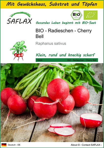 SAFLAX Anzucht Set - BIO - Radieschen - Cherry Bell - Raphanus sativus - 100 Samen - Mit Mini-Gewächshaus, Anzuchtsubstrat und 2 Töpfen