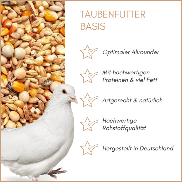 Taubenfutter Basis mit einer weißen Taube und einer Mischung aus Körnern