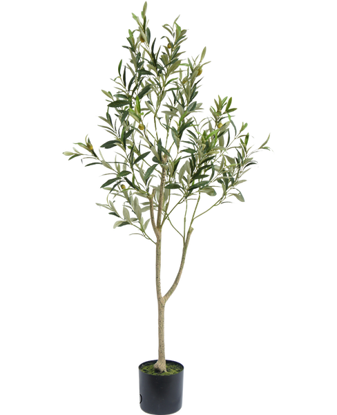 Knstlicher Olivenbaum 120 cm | HORNBACH