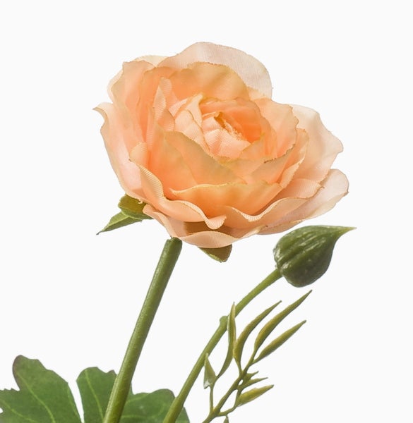 Pfirsichfarbene künstliche Ranunkel mit Knospe und grünen Blättern.