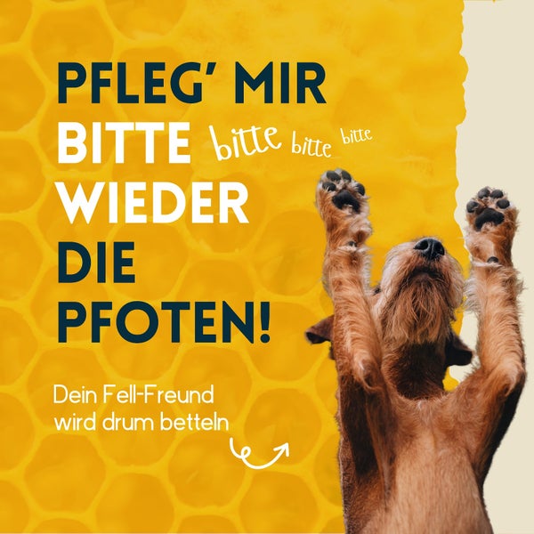 nimo® Pfoten Pflegestift • Pfotenbalsam mit Bienenwachs und Propolis zum Schutz und zur Pflege von Pfoten