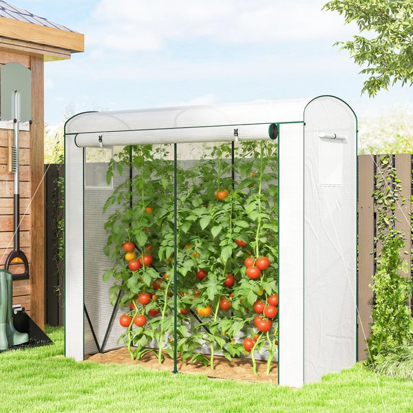 Folientunnel für Tomaten im Garten mit lichtdurchlässiger Abdeckung und aufrollbarem Eingang.