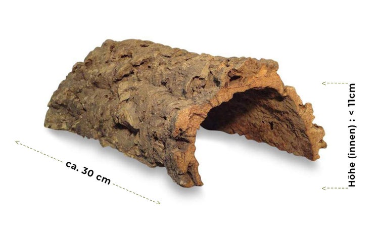 Korktunnel für Terrarien, Länge circa 30 Zentimeter, Innenhöhe weniger als 11 Zentimeter.