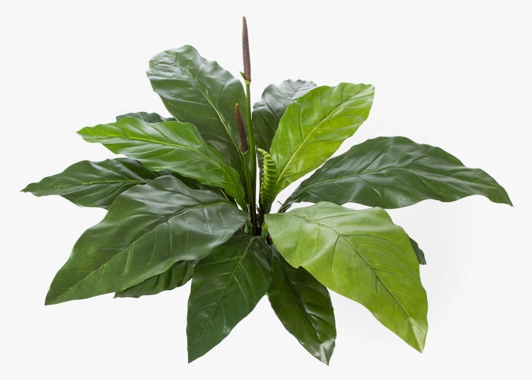 Nahaufnahme großer grüner künstlicher Pflanzenblätter mit detaillierten Blattadern und einer wachsartigen Oberfläche.