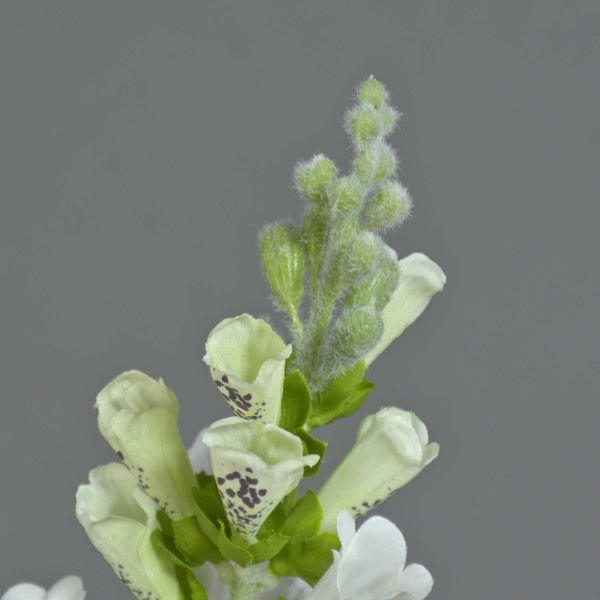 Künstliche Fingerhutblüte mit hellgrünen Glockenblüten, dunklen Punkten und flauschigen grünen Knospen.