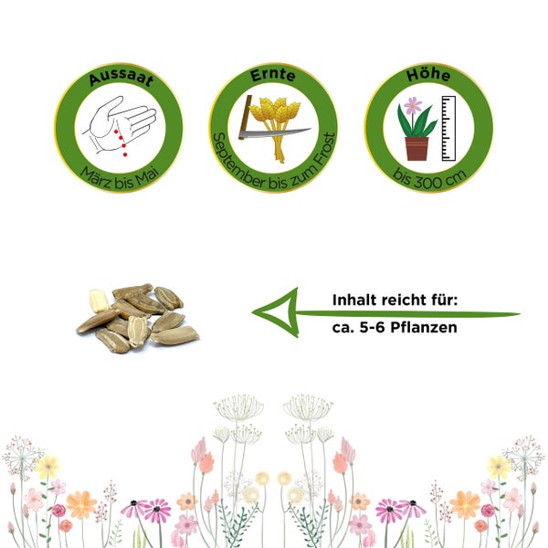 Symbole für Aussaat März bis Mai, Ernte September bis zum Frost, Höhe bis 300 Zentimeter, Inhalt für circa 5 bis 6 Pflanzen.