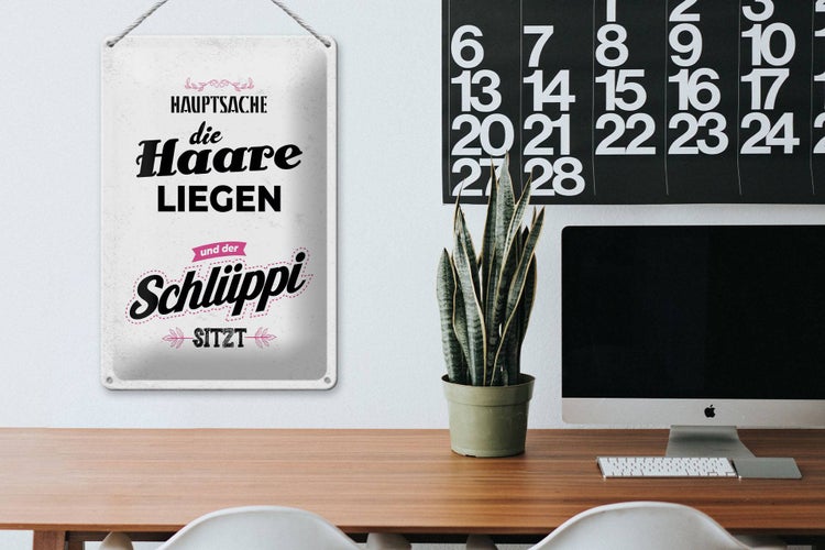 Blechschild Spruch Hauptsache Haare liegen Schlüppi 20x30cm