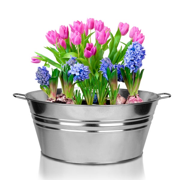 BigDean XL Zinkwanne Ø 48,5cm x 21,5cm H - massiv + wasserdicht zum Bepflanzen und Befüllen - Pflanzschale, Miniteich, Gartenteich, Blumenwanne, Getränkekühler, Eiskübel - mit stabilen Griffen