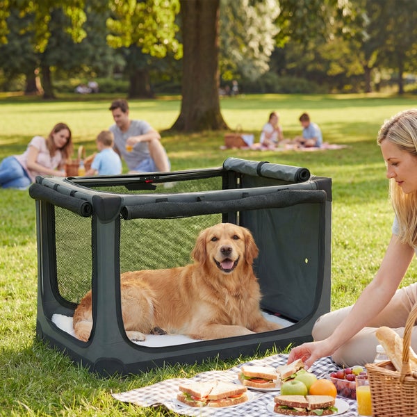 Faltbare Hundebox mit Netzwänden und einem Golden Retriever im Inneren bei einem hellen Picknick in einem grasbewachsenen Park.
