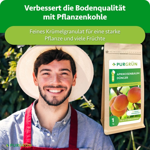 Lächelnder Gärtner mit Hut und Packung Purgrün Bio Aprikosenbaum Dünger mit Pflanzenkohle und Mykorrhiza für nährstoffreichen Boden und reiche Ernte.