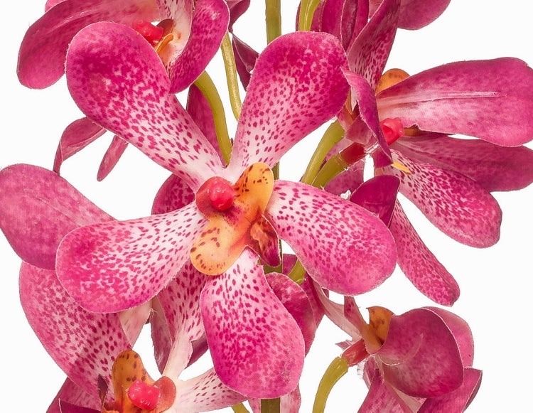 Künstliche rosa Orchidee mit gepunkteten Blütenblättern.