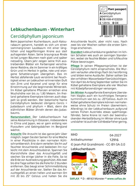 SAFLAX Geschenk Set - Lebkuchenbaum - Cercidiphyllum japonicum - 200 Samen - Mit Geschenkbox, Versandaufkleber, Geschenkkarte und Anzuchtsubstrat